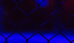 Bud Light and UFC Enter Historic Sponsorship Agreement